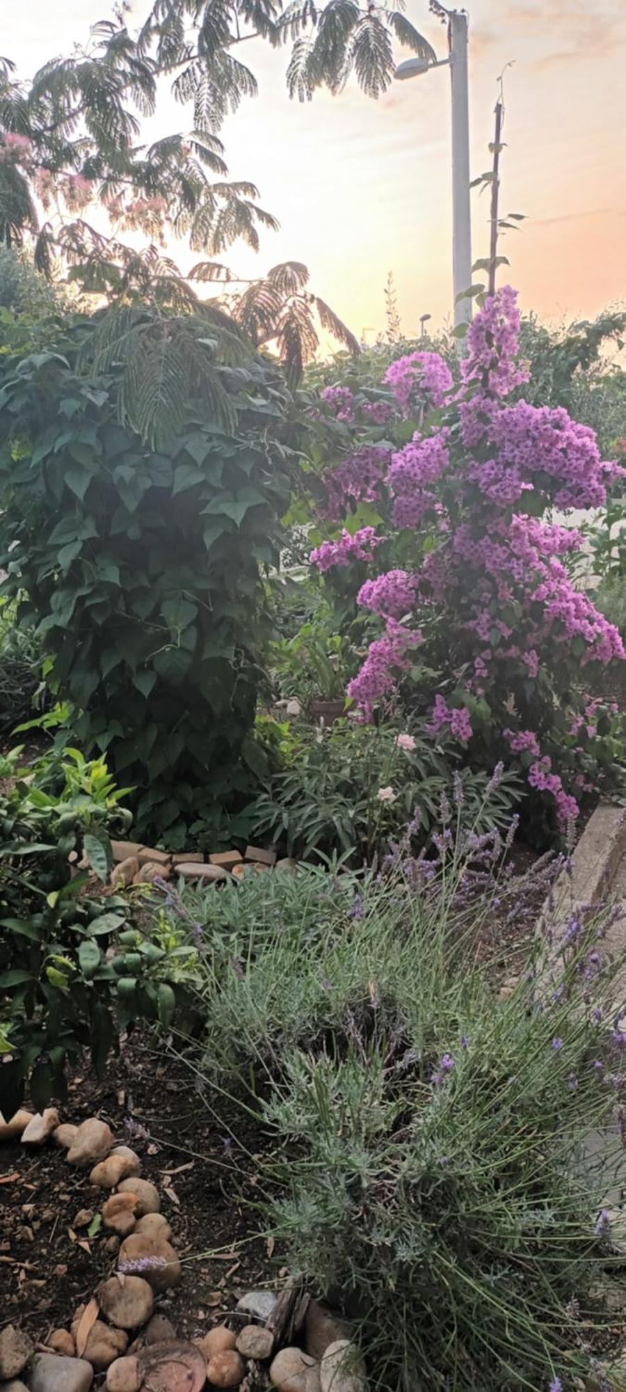 Apartamento Anna Biograd Na Moru Exterior foto
